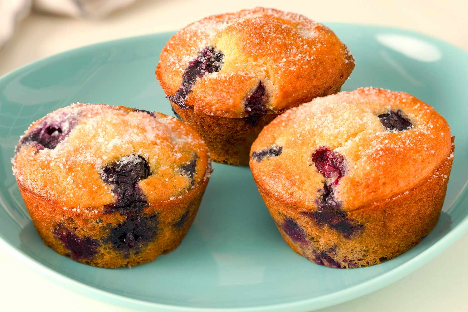 Blueberry Muffin Mix